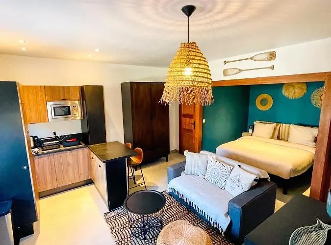 AU BORD DE L\'EAU Studio climatisé avec Terrasse et vue mer à 40m de la plage